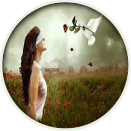 All in One Hindi Shayari иконка