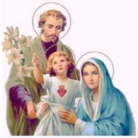 Holy Family Divine Light-(Flash Light)