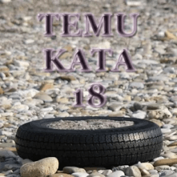 Temu Kata 18 icon