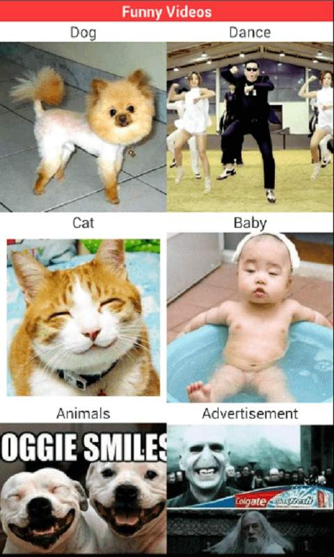 Funny Videos скриншот 3