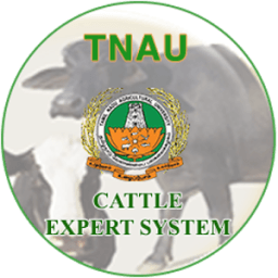 Cattle Expert System أيقونة