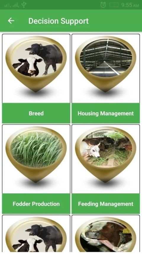 Cattle Expert System 3 تصوير الشاشة