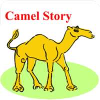 Camel talking