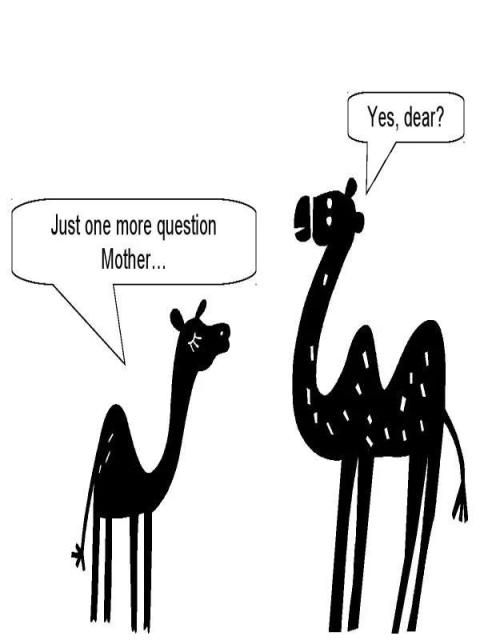 Camel talking screenshot 1