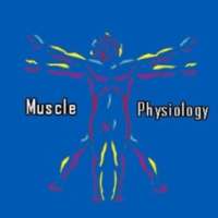Muscle Physiology