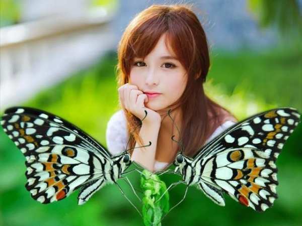 Butterfly Photo Frame 2016 स्क्रीनशॉट 3
