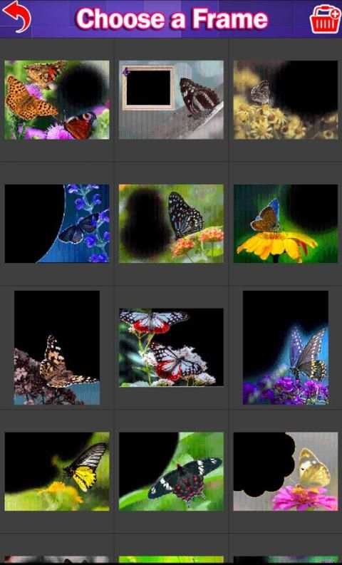 Butterfly Photo Frame 2016 स्क्रीनशॉट 2