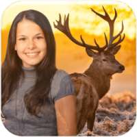 Wildlife Photo Frame on 9Apps