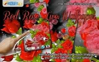Red Rose Party Live Wallpaper screenshot 1