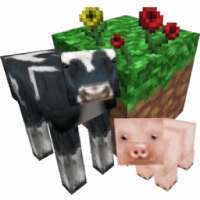 Summer Craft: Exploration