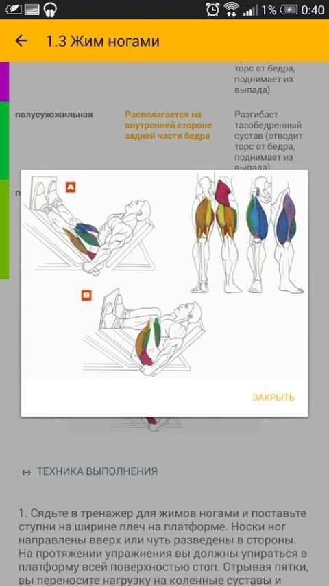 Бодибилдинг screenshot 11