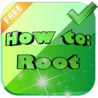 Root
