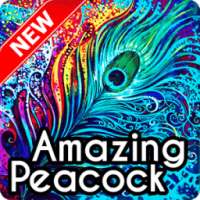 Peacock Wallpaper on 9Apps