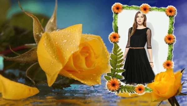 Rose Photo Frames 6 تصوير الشاشة
