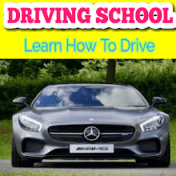 THEORY TEST DRIVING SCHOOL иконка