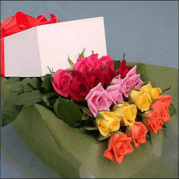 صور ورد आइकन