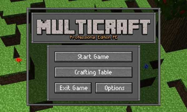 Multicraft Pro Edition PE скриншот 6