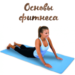 Основы фитнеса icon