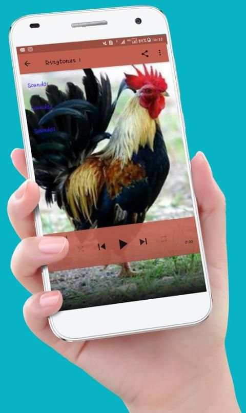 Chicken Ringtones स्क्रीनशॉट 1