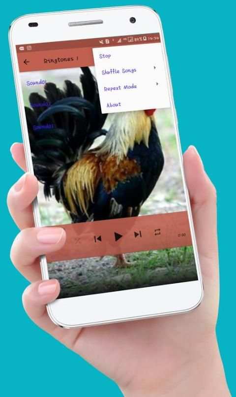 Chicken Ringtones स्क्रीनशॉट 2