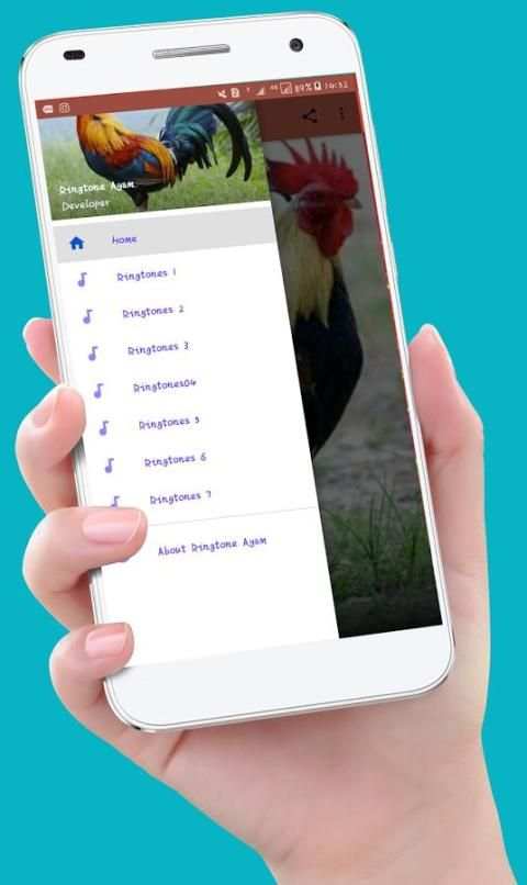 Chicken Ringtones स्क्रीनशॉट 4