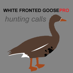 ikon White Fronted Goose Calls