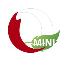 Mini Opera: Web Browser Advice 3.0