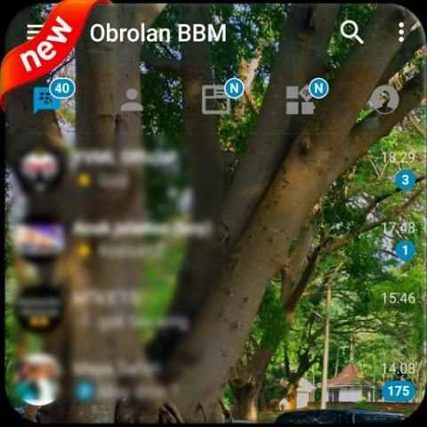 BBM TRANSPARAN THEME screenshot 5
