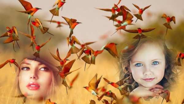 Birds Photo Frames скриншот 2