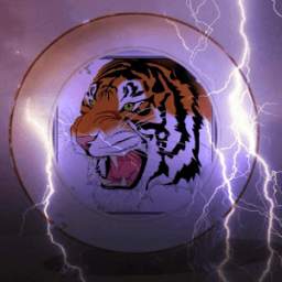 Tiger Browser 4G 1.0