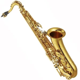SORRY saxophone أيقونة