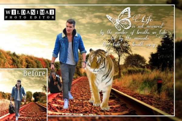 Wild Animal Photo Editor 2 تصوير الشاشة