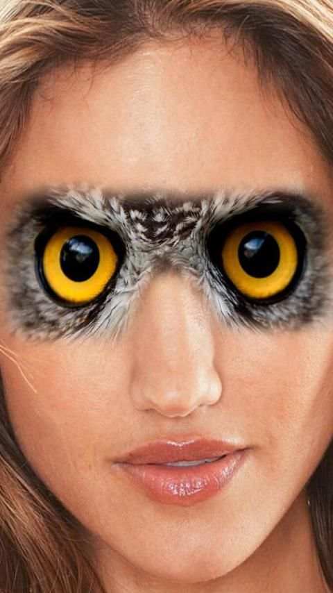 Animal Face Swap screenshot 3