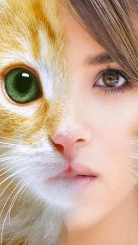 Animal Face Swap скриншот 2