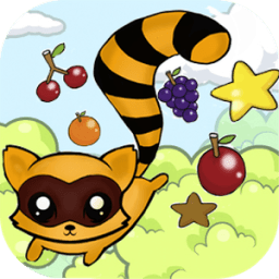 Raccoon Adventure أيقونة