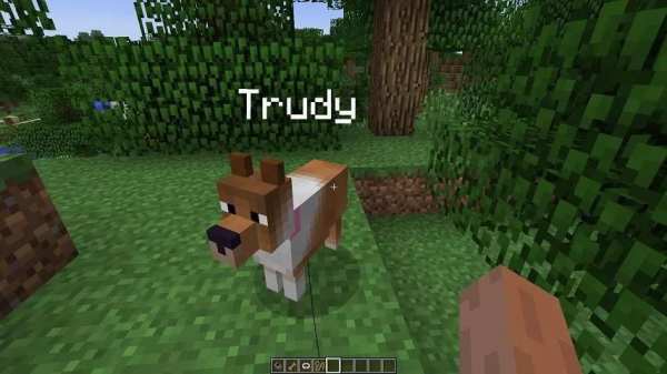 Pets Ideas Minecraft screenshot 3