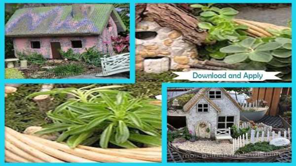 Cottage Mini Garden Ideas स्क्रीनशॉट 3