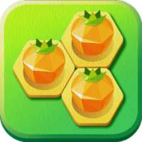 Farm Hexa : Simple Block Puzzle