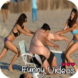 Top Funny Videos HD - Cool Silly Tube Clips