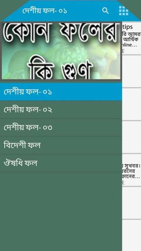 ফলের গুণাবলি - Bangla Foler Gunabali fruitfullness screenshot 4