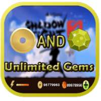 Gems For Shadow Fight 2 Joke on 9Apps