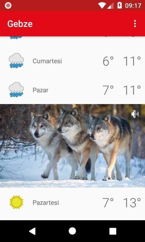 Gebze screenshot 5
