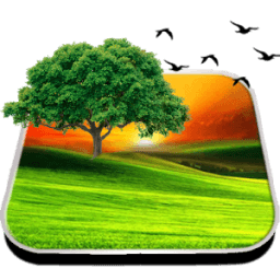 Beauteous Nature Livewallpaper иконка