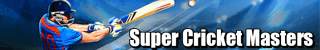 Super Cricket Masters screenshot 5