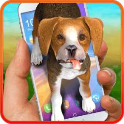 Dog on screen – beagle. Prank app.