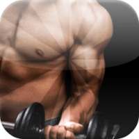 Mass Building Workouts Muscle on 9Apps