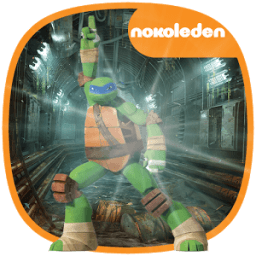 ikon turtle shadow ninja street fight