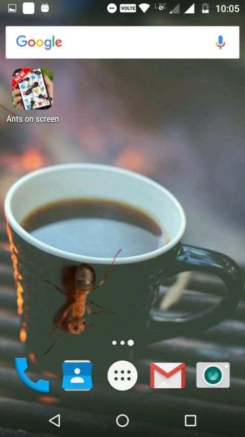 Ants on Screen (Funny Prank) screenshot 4