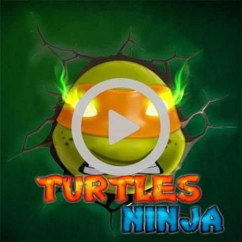 ninja adventure turtle screenshot 4