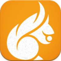 * New UC Browser 2017 Guide